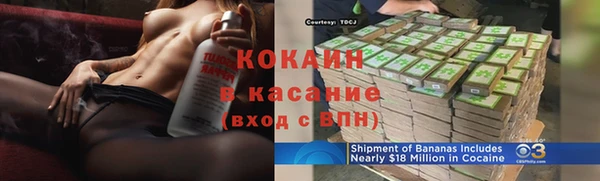 прущие грибы Богородицк