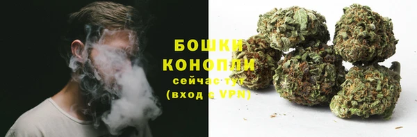гашиш Богданович