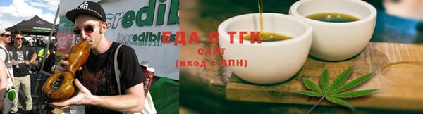 гашиш Богданович