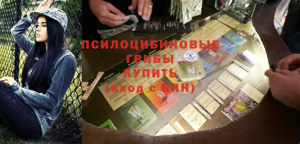 прущие грибы Богородицк