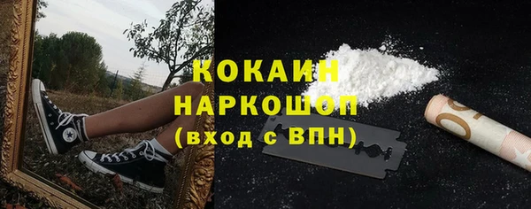 прущие грибы Богородицк