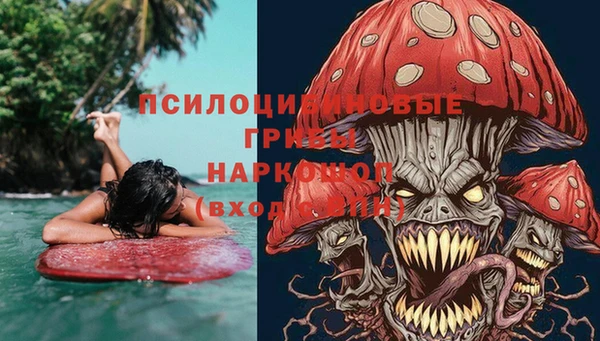гашиш Богданович